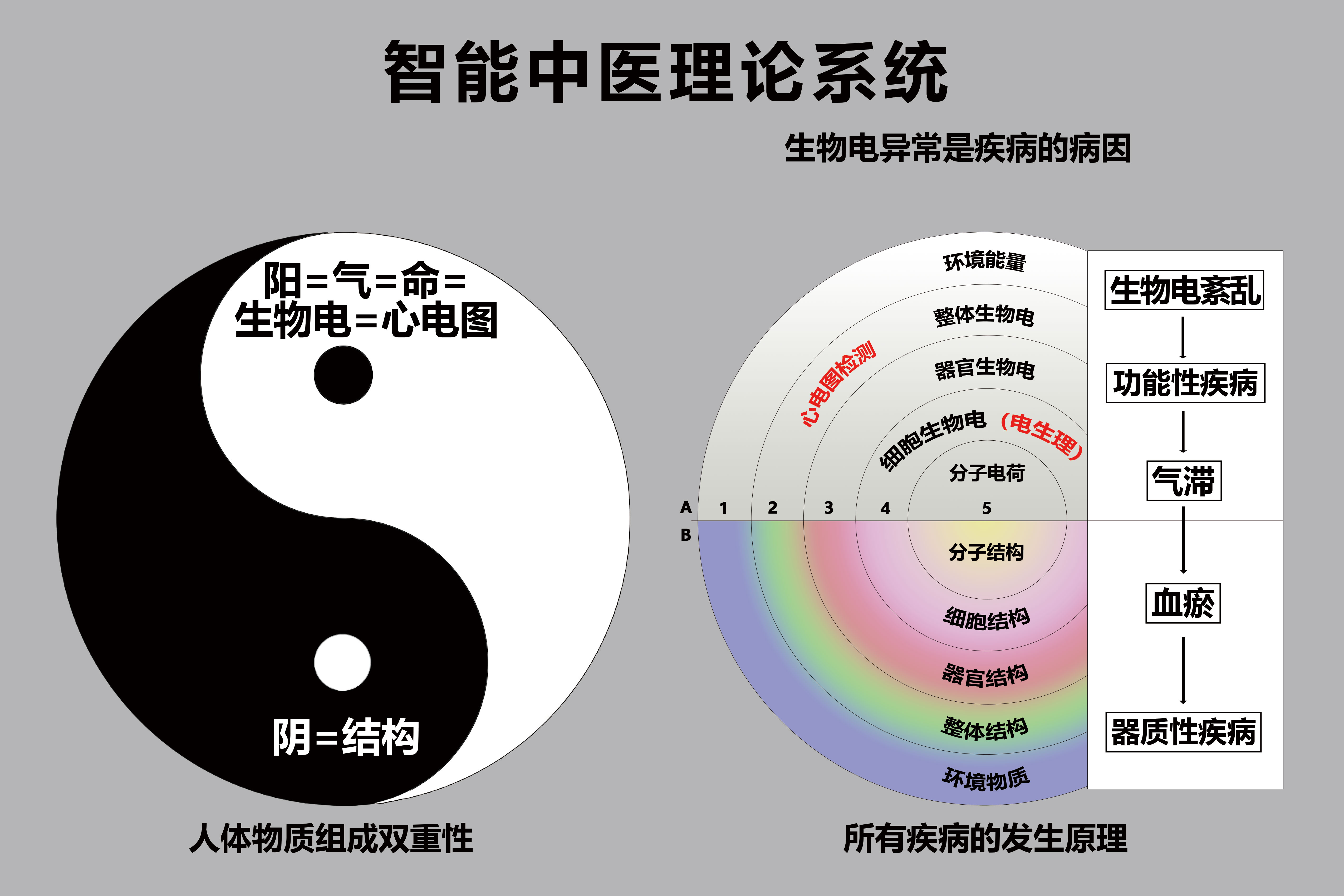 智能中医理论系统（180X120）.jpg